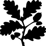 national-trust-logo